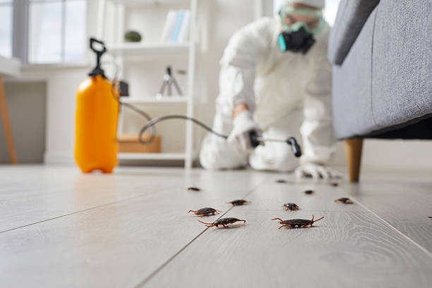 Commercial Rodent Management in Whippany